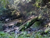 DSC0095