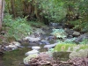 DSC0108