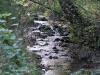 DSC0115